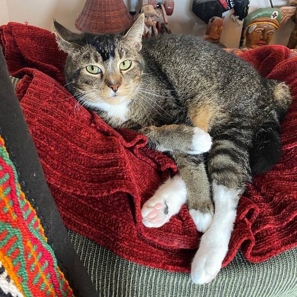 Meet your Posher, Karyn - Picture 1 of 1